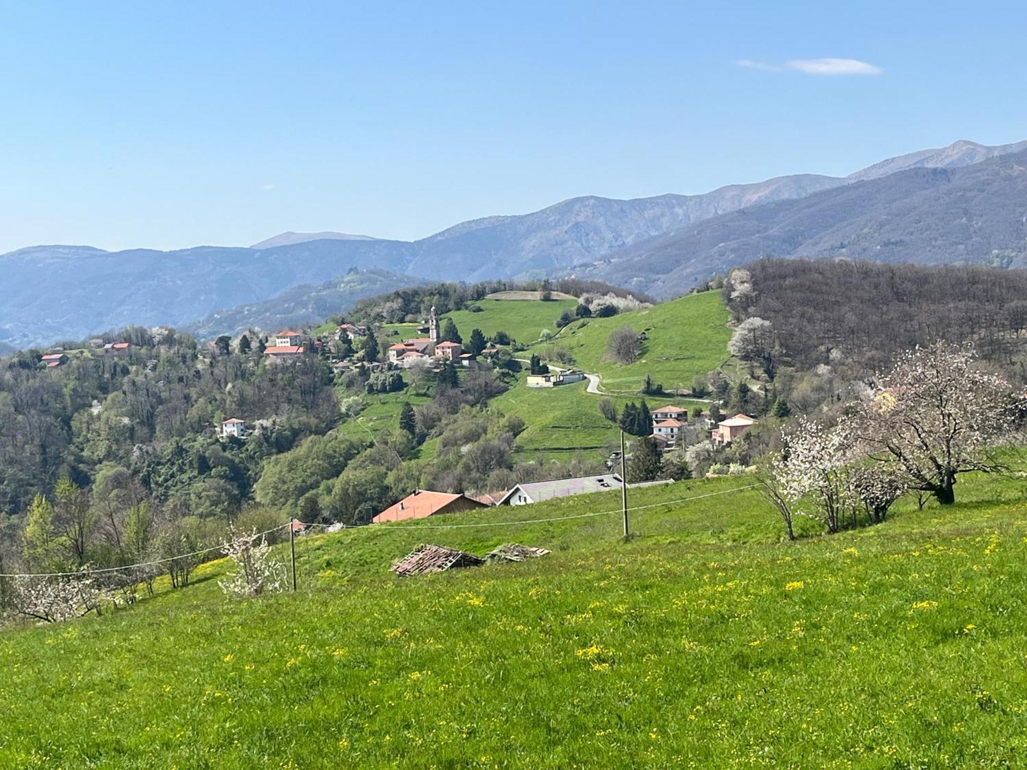 Villa Ponzio 热那亚 外观 照片